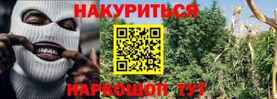 амф Можга