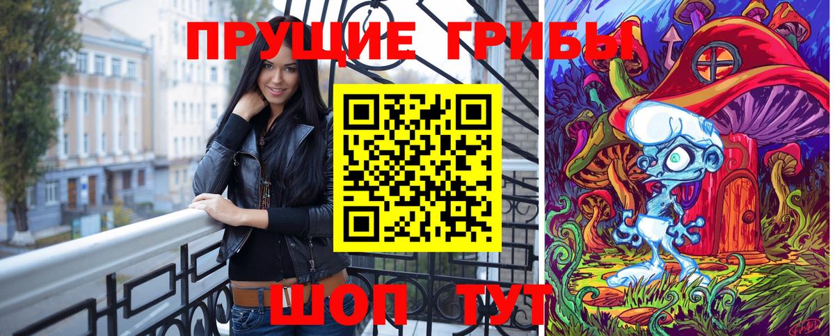 Галлюциногенные грибы Psilocybe Орёл