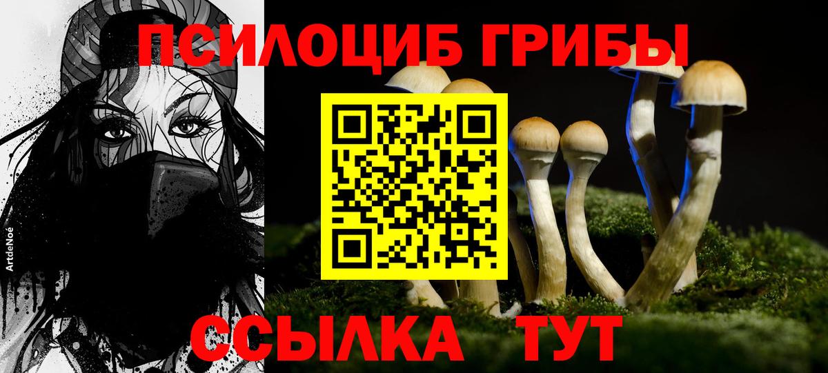 Галлюциногенные грибы GOLDEN TEACHER  Вход с VPN  Орёл 